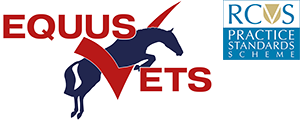 Equus Vets