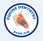 Equine Dentisry