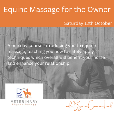 Massage for owners course_20241008_234447_0000