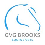 GVG Brooks Equine