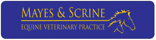 Mayes and Scrine, Equine Vets